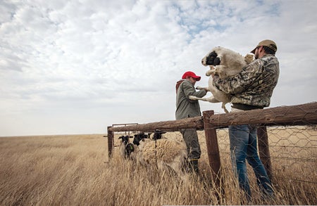 Scientific American Logo