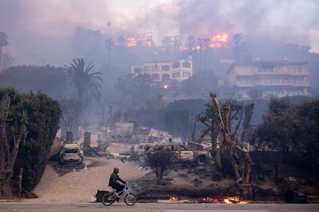 A cyclist pedals along Pacific Coast Highway past several large burning homes stacked on a hillside in Malibu, CA on Wednesday, January 8, 2025