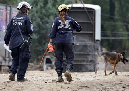 FEMA Urban Search and Rescue Task Force with search dog.