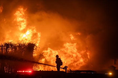 Firefighter in midst of heavy fire landscape.