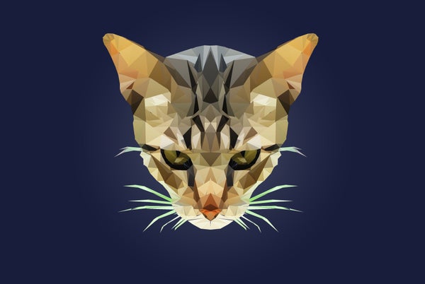 IIllustrated polygonal cat looking at viewer