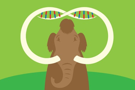 Illustration of a mammoth with tusks, and DNA looping around the tusks