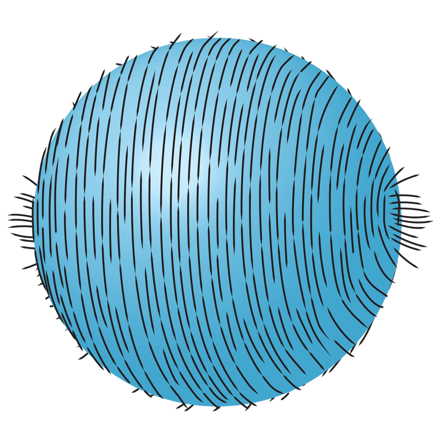 Graphic shows a sphere covered in small lines resembling hairs that are all combed in the same direction. Tufts on either side demonstrate the hairy ball theorem.